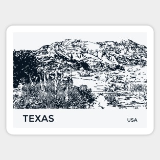 Texas USA Sticker